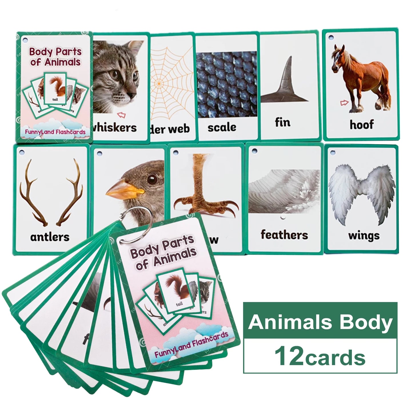 "Montessori English Word Flash Cards ā Fun & Educational Learning for Kids!"