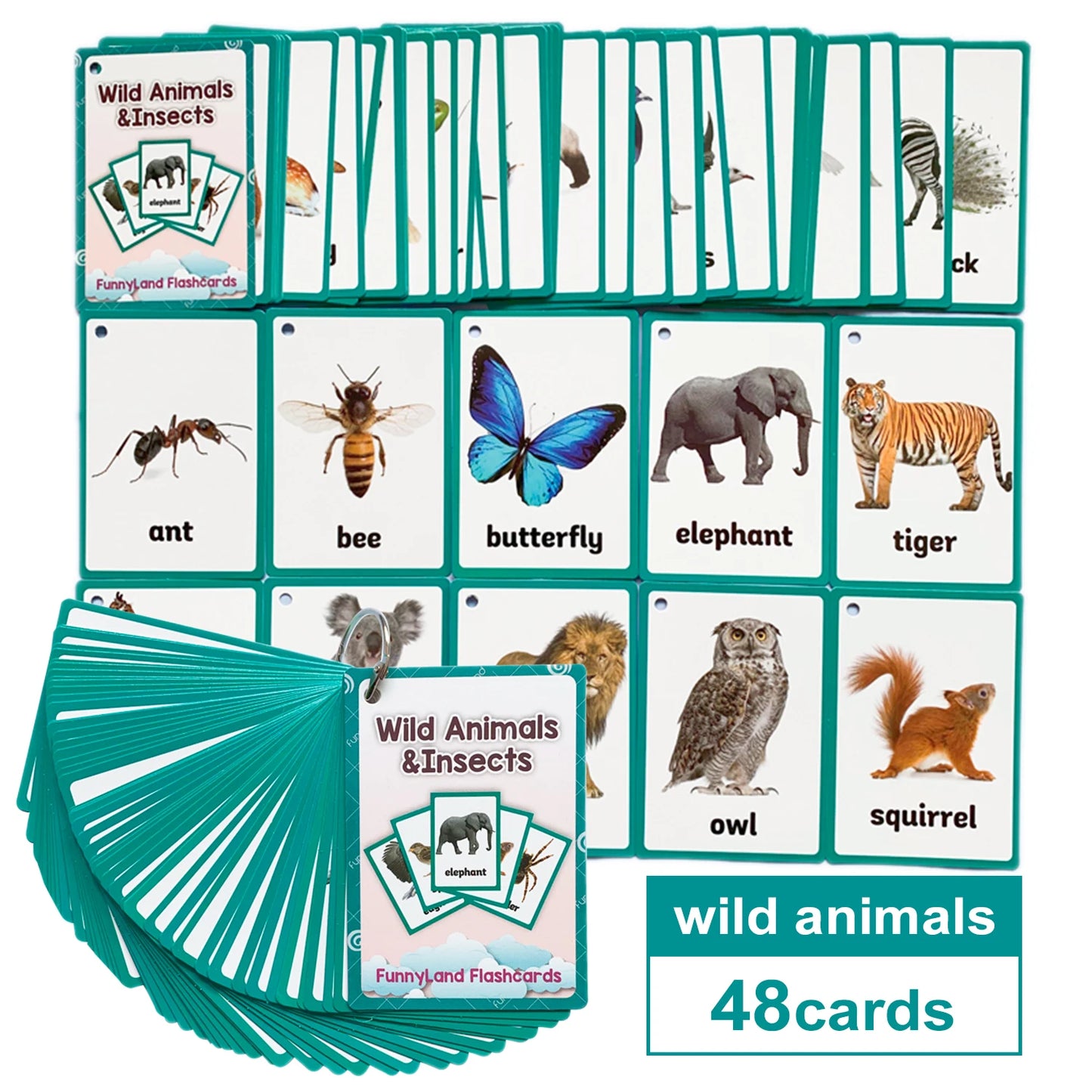 "Montessori English Word Flash Cards ā Fun & Educational Learning for Kids!"