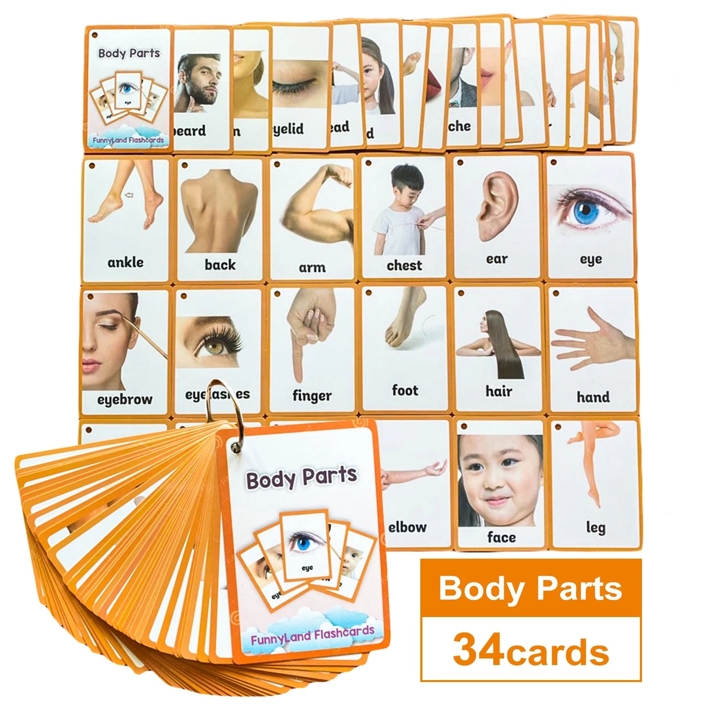 "Montessori English Word Flash Cards ā Fun & Educational Learning for Kids!"