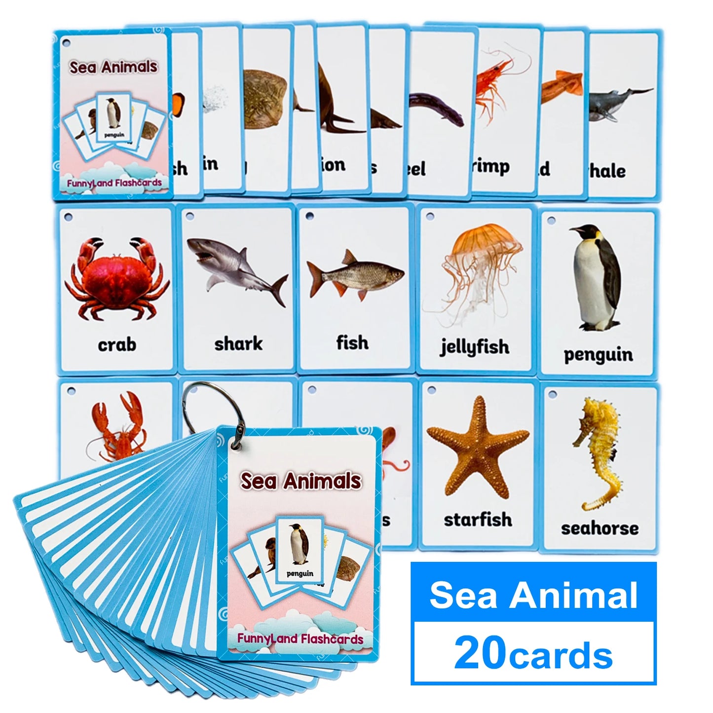 "Montessori English Word Flash Cards ā Fun & Educational Learning for Kids!"