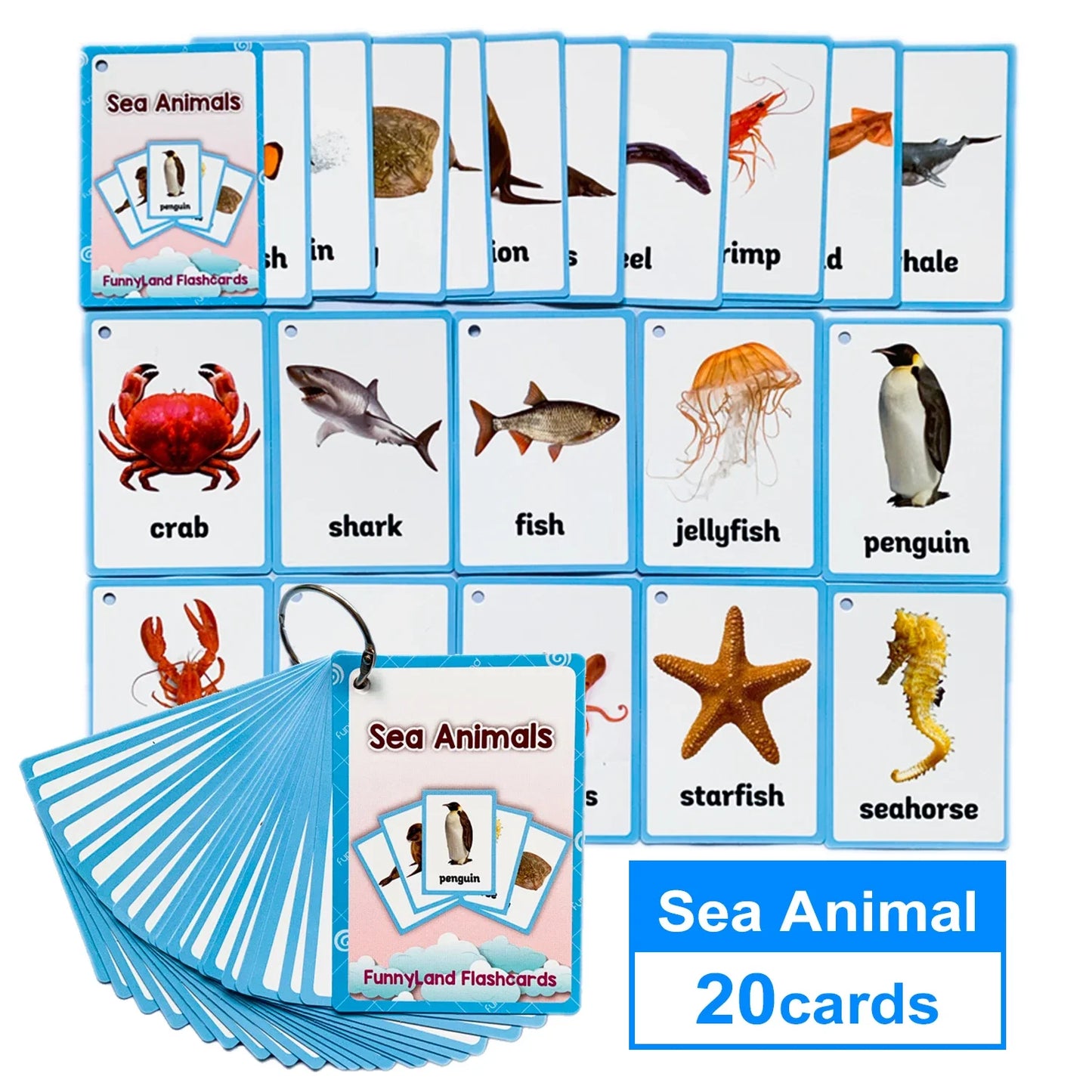 "Montessori English Word Flash Cards ā Fun & Educational Learning for Kids!"